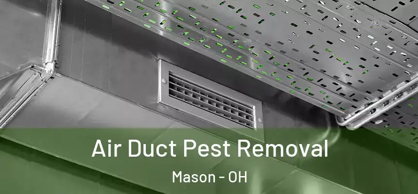  Air Duct Pest Removal Mason - OH