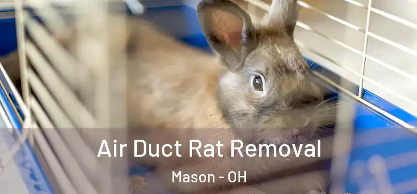  Air Duct Rat Removal Mason - OH