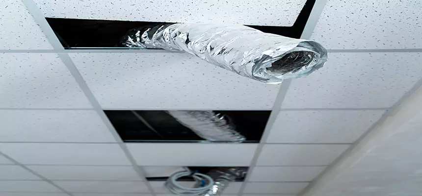 Affordable HVAC Sanitizing After Pest Removal in Mason