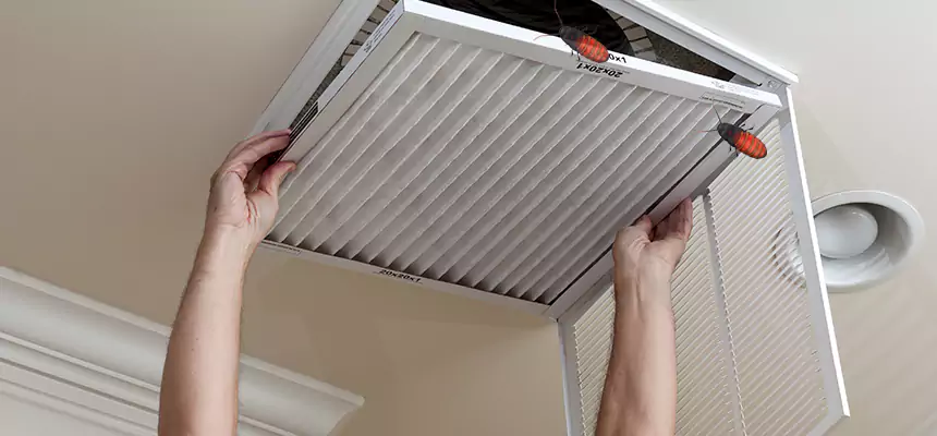 Our Insect Removal from Air Ducts Services in Mason, OH