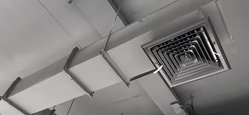 Our Rodent Droppings In Vents Services in Mason, OH