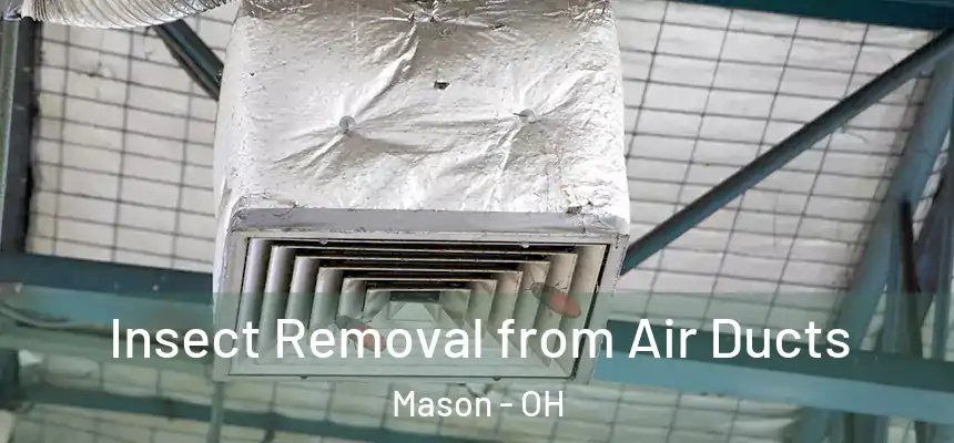 Insect Removal from Air Ducts Mason - OH