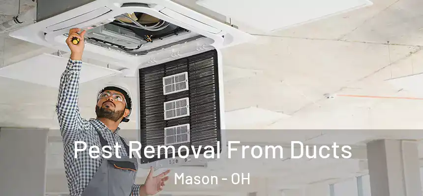 Pest Removal From Ducts Mason - OH