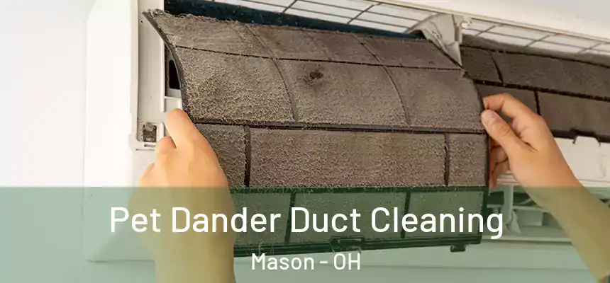 Pet Dander Duct Cleaning Mason - OH