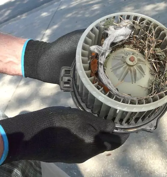 About Air Duct Mice Removal in Mason, OH