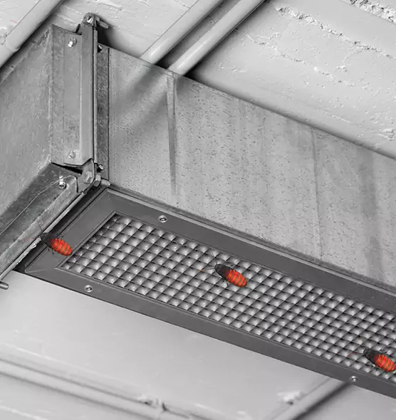 Affordable Insect Removal from Air Ducts in Mason, OH