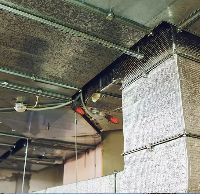 Why Homeowners & Businesses Trust Us in Mason, OH?